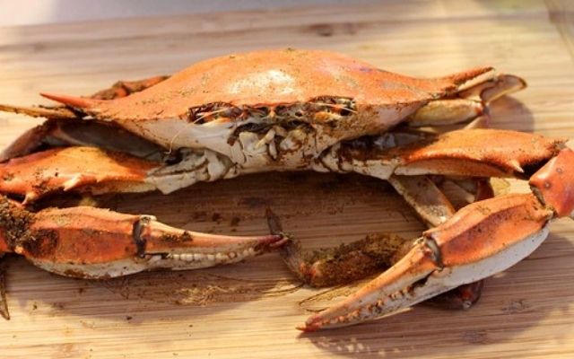 What does Blue Crab Taste like