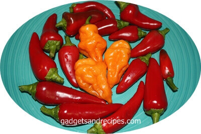 Hot Corner Chilli Peppers Recipes