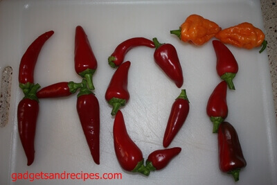 HOT Peppers Recipes