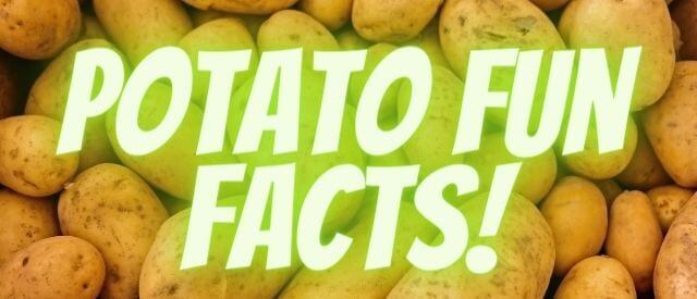 Potato Fun Facts